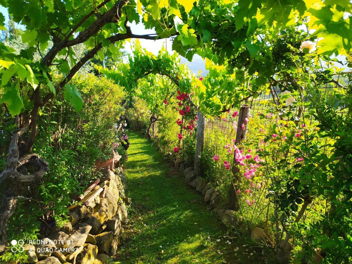 Podere Piandarca แตร์รานูโอวา บราชโชลีนี ภายนอก รูปภาพ
